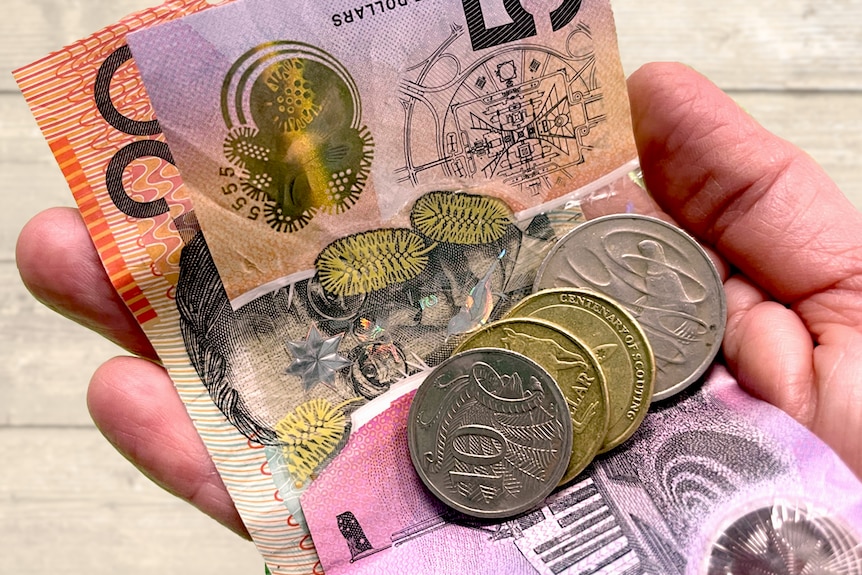 A hand holding some money notes and coins.