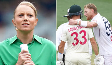Ashes cricket: Alyssa Healy issues warning to Ben Stokes as viewers erupt over fiery SCG 'offence'
