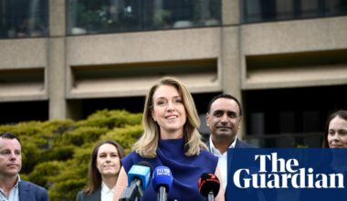 NSW’s opposition is betting on fresh faces. It’s a good start – but now the Coalition must decide what it stands for | New South Wales politics