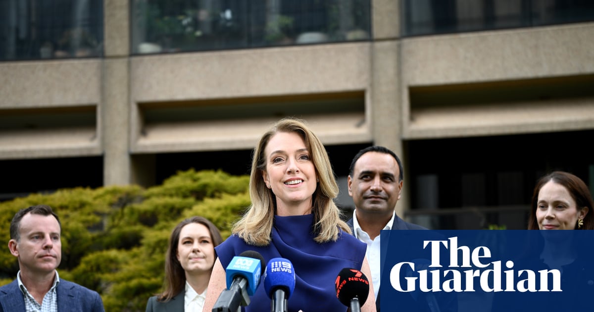 NSW’s opposition is betting on fresh faces. It’s a good start – but now the Coalition must decide what it stands for | New South Wales politics