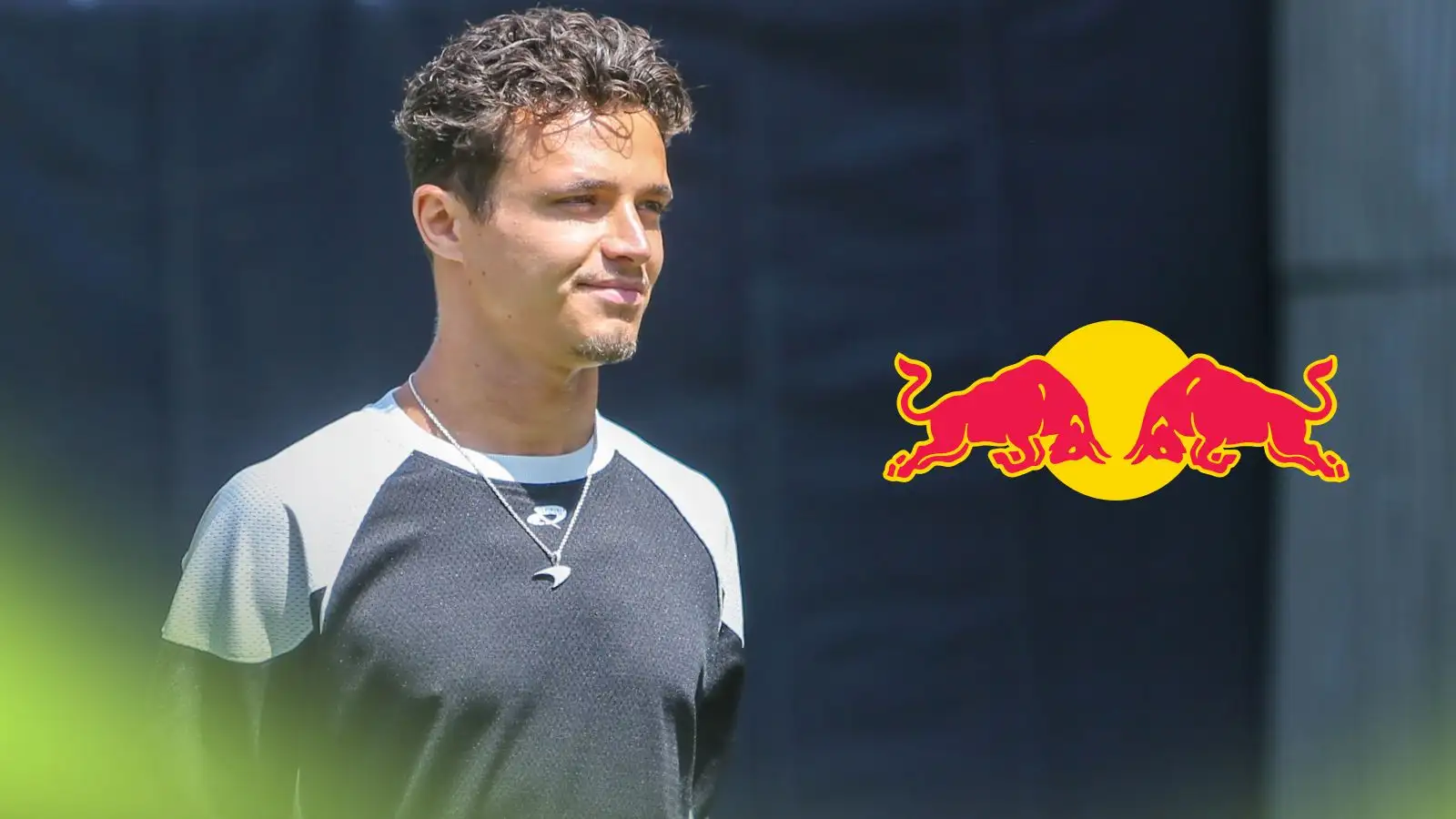 Lando Norris would have 'fitted very well' at Red Bull as Marko recalls past talks