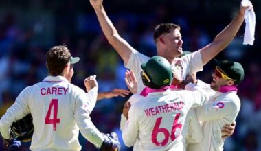 Beau Webster stepped up in Australia's hour of need at the SCG. Photo: Dean Lewins/AAP PHOTOS