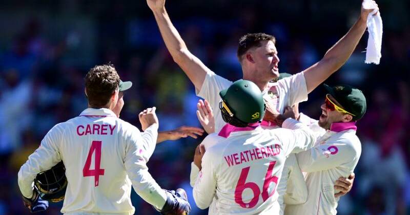 Beau Webster stepped up in Australia's hour of need at the SCG. Photo: Dean Lewins/AAP PHOTOS