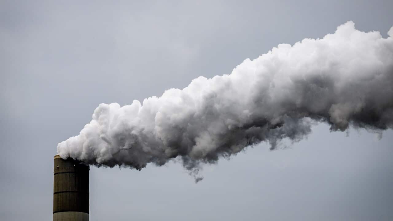 Hopes dashed as global fossil fuel emissions increase in 2025