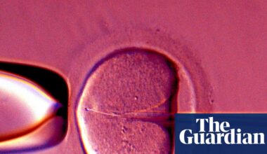 Human eggs ‘rejuvenated’ in advance that could boost IVF success rates | Biology