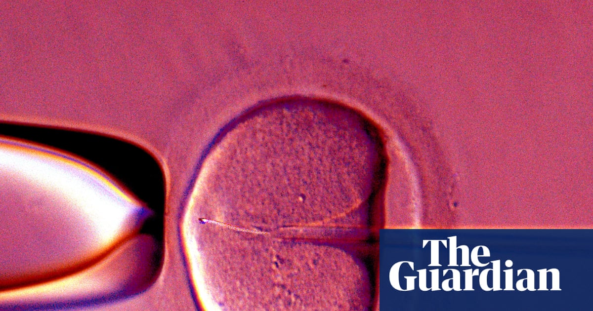 Human eggs ‘rejuvenated’ in advance that could boost IVF success rates | Biology
