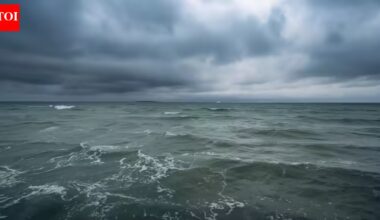 This ocean near Panama is dying, and same thing might happen all over earth | World News