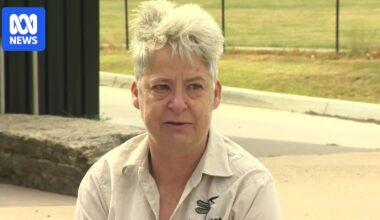 Harcourt residents assessing damage after more than 50 structures lost in Ravenswood fire