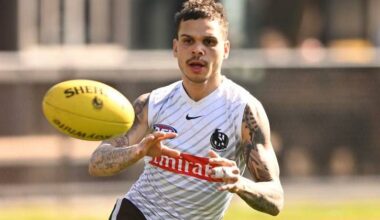 Bobby Hill is taking a leave of absence from Collingwood to deal with personal issues. Photo: James Ross/AAP PHOTOS