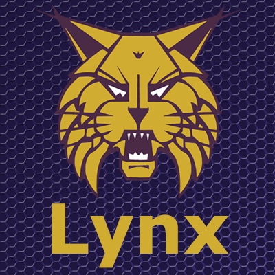 Webster City basketball drops road non-con doubleheader with South Central Calhoun – KQRadio