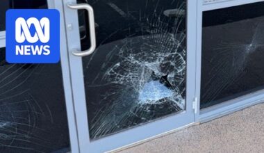 Feral goat's headbutt frenzy causes thousands of dollars damage to Cobar business