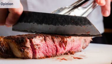 US Health Secretary Robert F. Kennedy’s new food pyramid is all sizzle and no steak