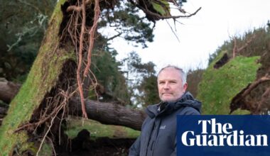 ‘It has destroyed years of work’: Cornish beauty spot loses 80% of its trees to Storm Goretti | Cornwall