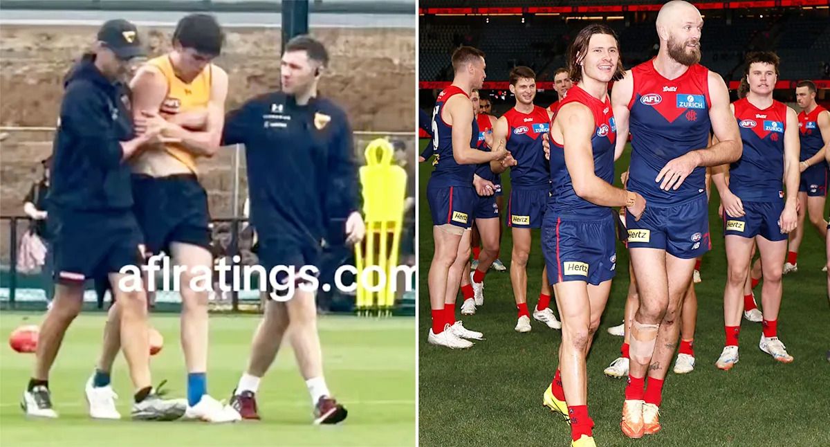 AFL news: Great calls for change as Hawthorn and Melbourne stars join pre-season injury carnage