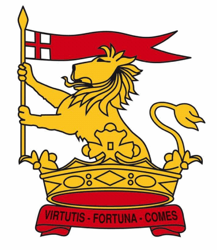 Cricket Wellington - Indoor Cricket