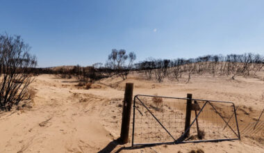 Peril beyond fence line halts 'important' project in Aussie bush