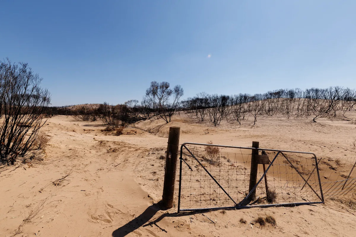Peril beyond fence line halts 'important' project in Aussie bush