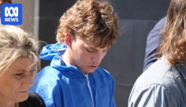 Perth man accused of assaulting Labor figure Tim Picton faces charges over separate alleged attack