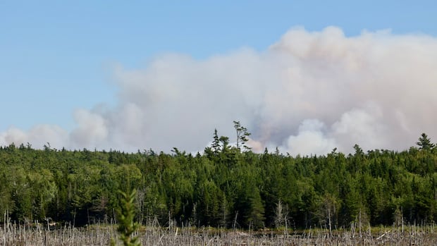 Annapolis County had 'very good' response to Long Lake wildfire, report says