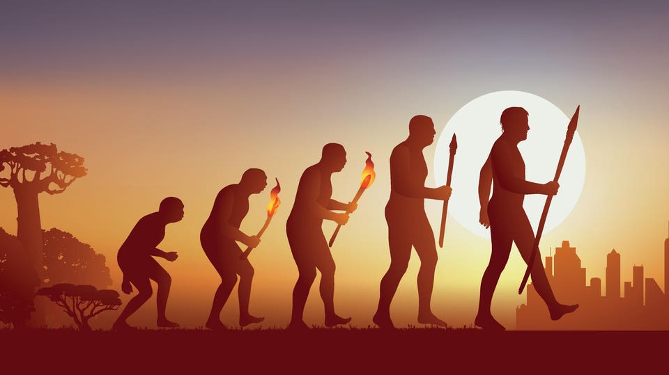 Theory of evolution transforming man from nature to the city.