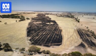 Natimuk fire offers a glimpse into a new kind of bushfire fuelled by our changing climate