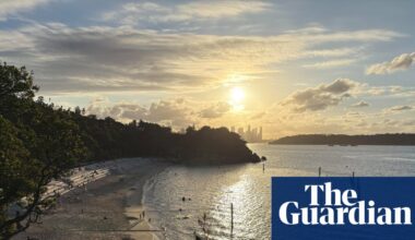 Shark attack at Nielsen Park in Sydney’s east leaves boy fighting for his life | Sydney