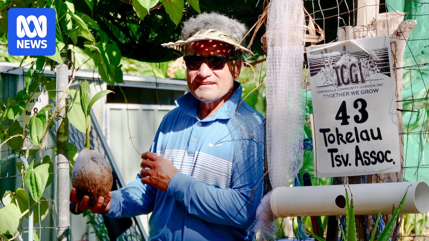 Cross-cultural sharing is at the heart of Townsville's community garden