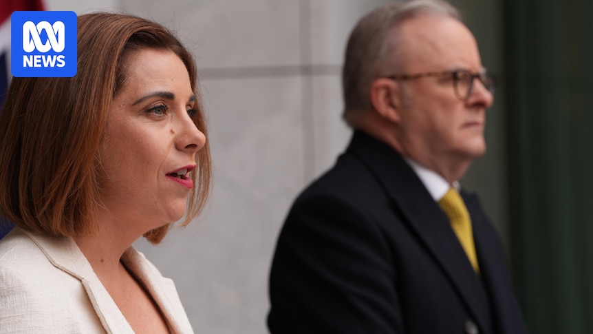 MPs can still take partners and children on work trips under new family travel rules