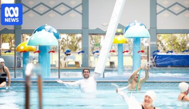 The Pool Show at Penrith Regional Gallery casts a critical eye over Australia's pool culture