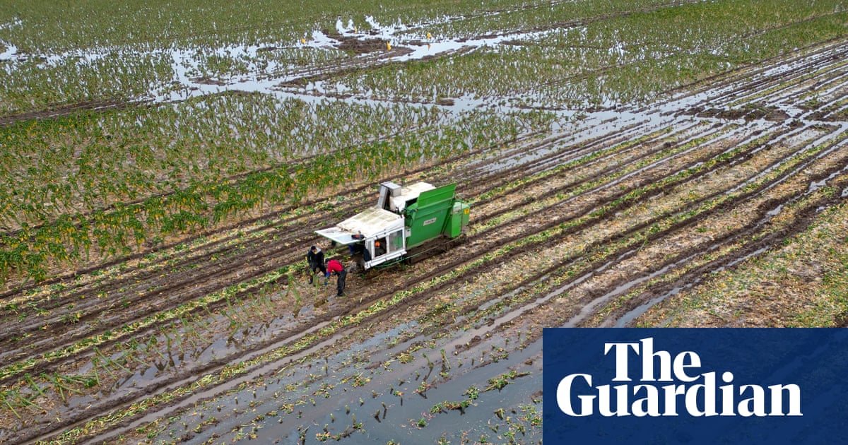 Biodiversity collapse threatens UK security, intelligence chiefs warn | Biodiversity