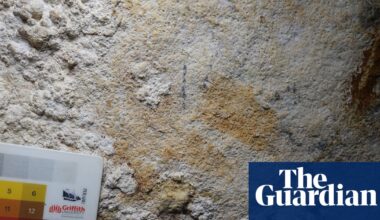 Hand shape in Indonesian cave may be world’s oldest known rock art | Archaeology