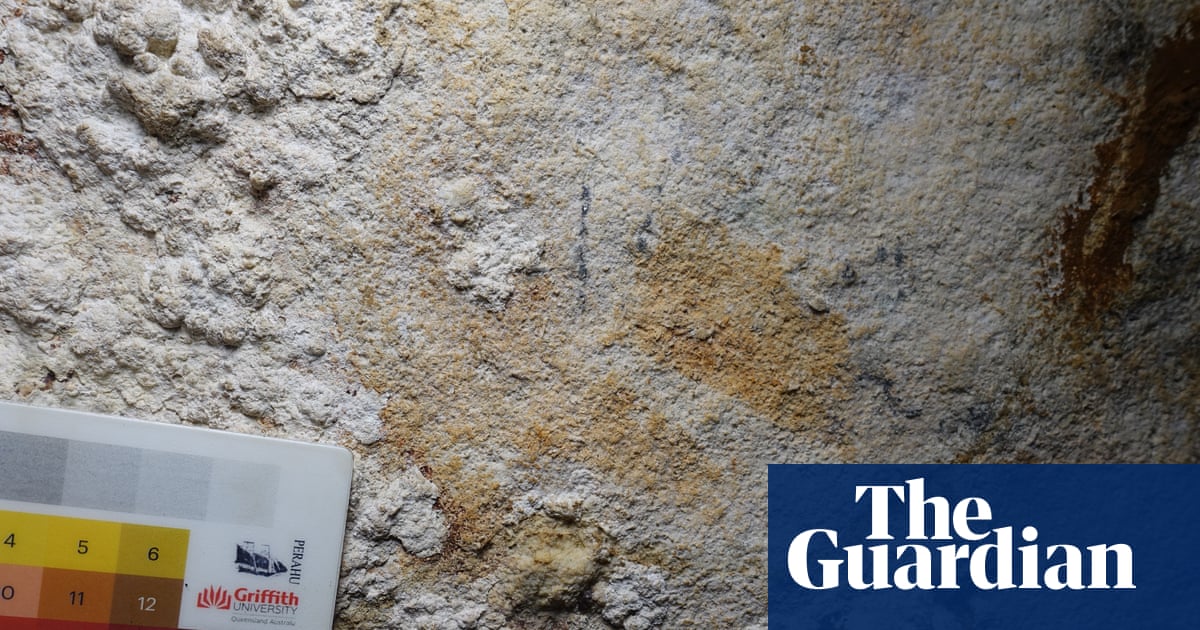 Hand shape in Indonesian cave may be world’s oldest known rock art | Archaeology