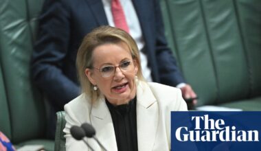 Sussan Ley’s leadership all but over after Coalition split, senior Liberals say | Coalition