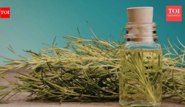 Can rosemary oil help regrow lost hairs? What science says