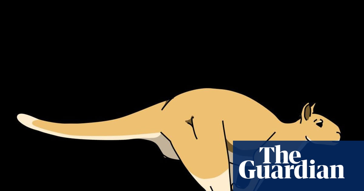 Kangaroos’ giant ancestor probably able to hop despite 250kg weight, scientists say | Animals