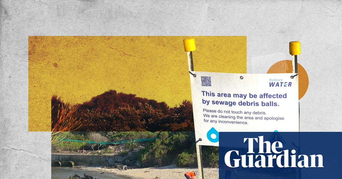 Sydney Water blames food outlets for illegally adding to fatberg. But restaurants say ‘if it’s a problem, it’s their problem’ | New South Wales