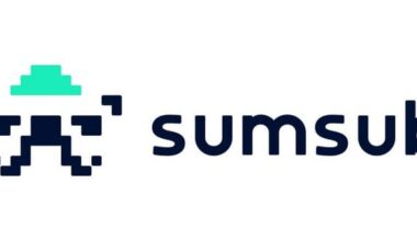 Sumsub and GOE Alliance Sign MoU at WEF 2026 to…