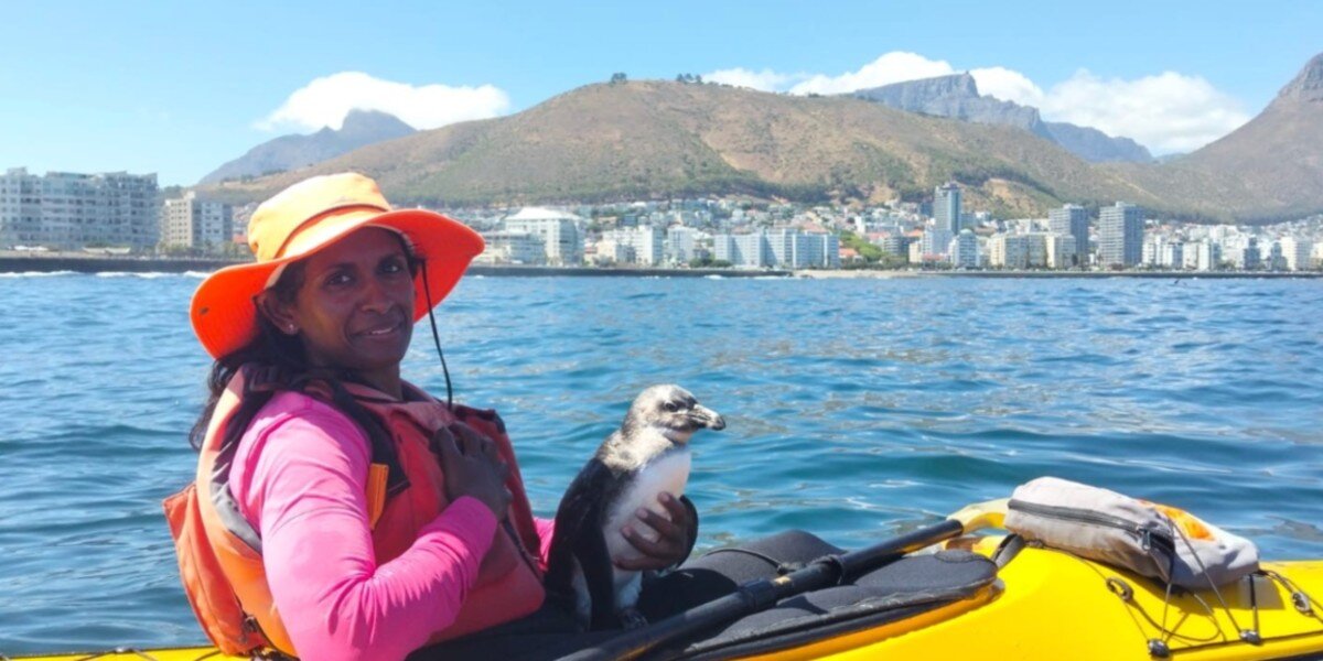 Adventure Guide Stunned When Penguin Jumps Into Her Kayak And Gives Her A Hug