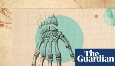 ‘It’s such a complex little area’: how to really look after your wrists | Life and style