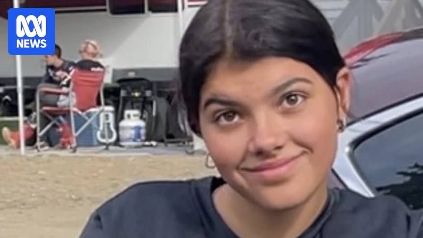 K'gari dingoes involved in death of Canadian backpacker Piper James euthanased