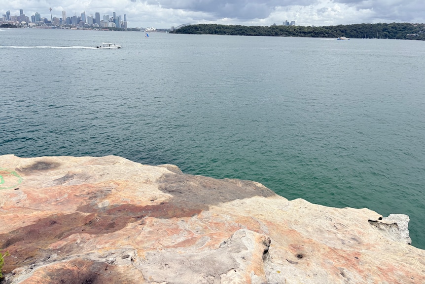 A large flat rock high above the water of Sydney harbour with the bridge and city seen in the distance.