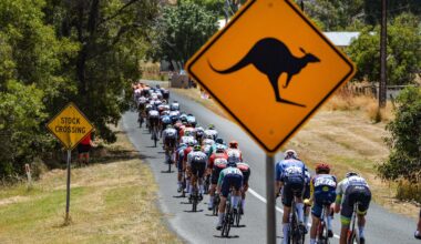 The peloton rides past a kangaroo road sign during the Tour Down Under on January 25, 2026. (Photo: Brenton Edwards / AFP via Getty Images)