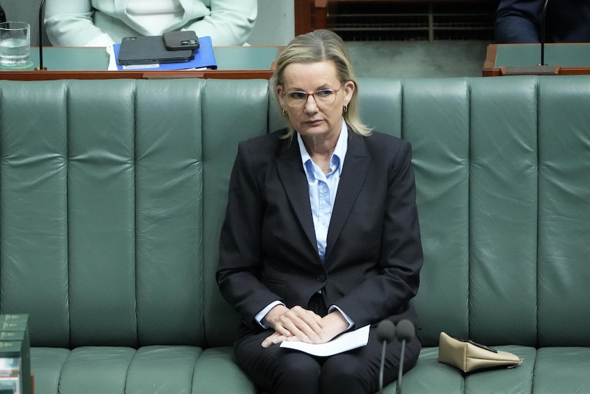 Sussan Ley cuts a lonely figure in parliament