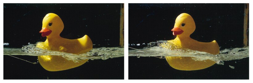 Two rubber duckies oriented differently in the water.