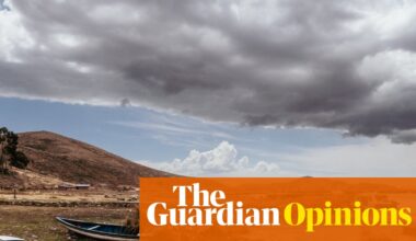 The UK government didn’t want you to see this report on ecosystem collapse. I’m not surprised | George Monbiot