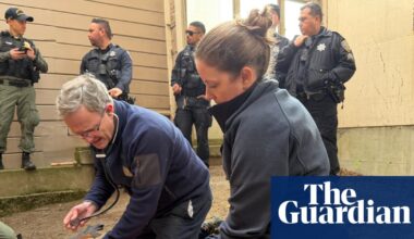 Live TV report on cougar capture in San Francisco neighborhood interrupted by coyote | San Francisco