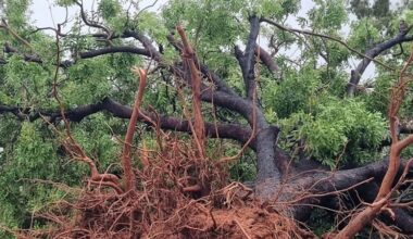 Western Australia’s top destinations mopping up after Tropical Cyclone Luana