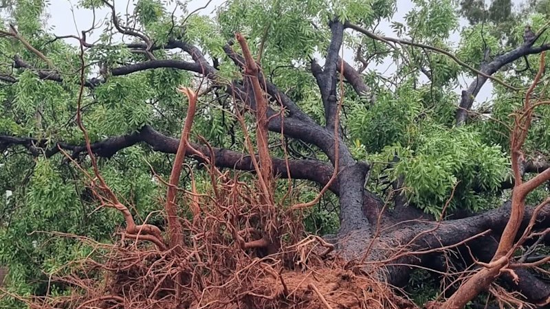 Western Australia’s top destinations mopping up after Tropical Cyclone Luana
