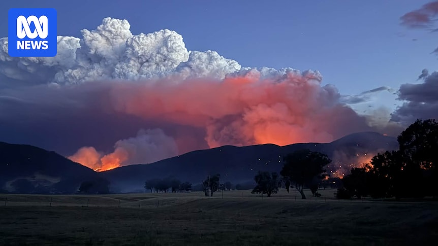 More than $370 million now allocated for Victorian bushfire recovery support