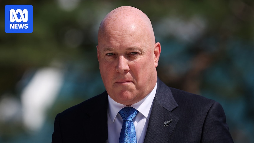 New Zealand has refused to join Donald Trump's 'Board of Peace'. What about the rest of the world?